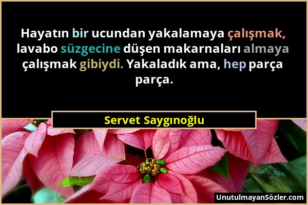 Servet Saygınoğlu - Hayatın bir ucundan yakalamaya çalışmak, lavabo süzgecine düşen makarnaları almaya çalışmak gibiydi. Yakaladık ama, hep parça parç...