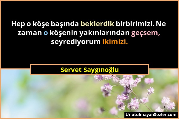 Servet Saygınoğlu - Hep o köşe başında beklerdik birbirimizi. Ne zaman o köşenin yakınlarından geçsem, seyrediyorum ikimizi....