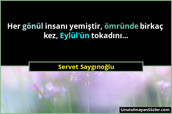 Servet Saygınoğlu - Her gönül insanı yemiştir, ömründe birkaç kez, Eylül'ün tokadını......