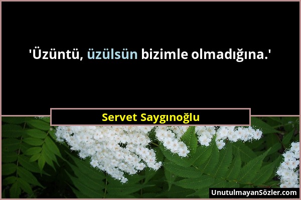 Servet Saygınoğlu - 'Üzüntü, üzülsün bizimle olmadığına.'...