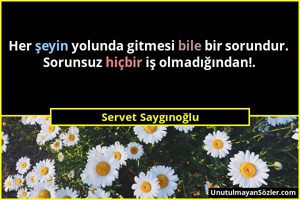 Servet Saygınoğlu - Her şeyin yolunda gitmesi bile bir sorundur. Sorunsuz hiçbir iş olmadığından!....