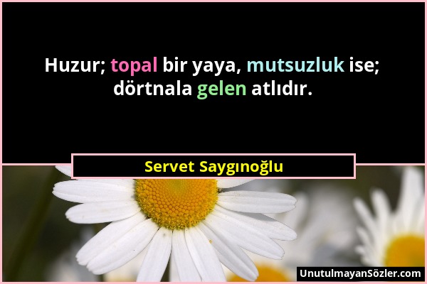 Servet Saygınoğlu - Huzur; topal bir yaya, mutsuzluk ise; dörtnala gelen atlıdır....