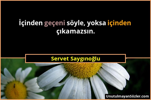 Servet Saygınoğlu - İçinden geçeni söyle, yoksa içinden çıkamazsın....