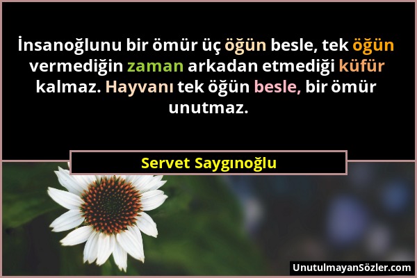 Servet Saygınoğlu - İnsanoğlunu bir ömür üç öğün besle, tek öğün vermediğin zaman arkadan etmediği küfür kalmaz. Hayvanı tek öğün besle, bir ömür unut...