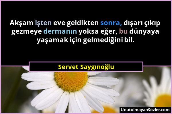 Servet Saygınoğlu - Akşam işten eve geldikten sonra, dışarı çıkıp gezmeye dermanın yoksa eğer, bu dünyaya yaşamak için gelmediğini bil....