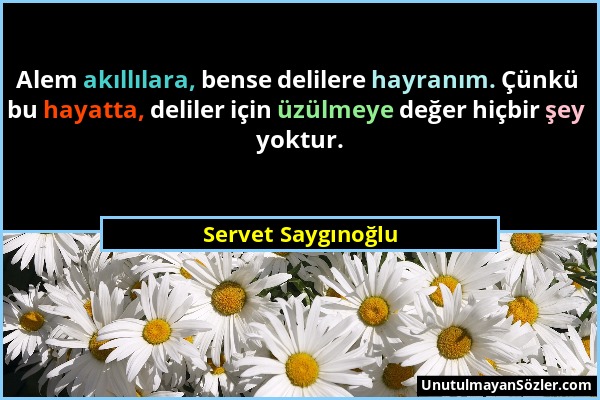 Servet Saygınoğlu - Alem akıllılara, bense delilere hayranım. Çünkü bu hayatta, deliler için üzülmeye değer hiçbir şey yoktur....