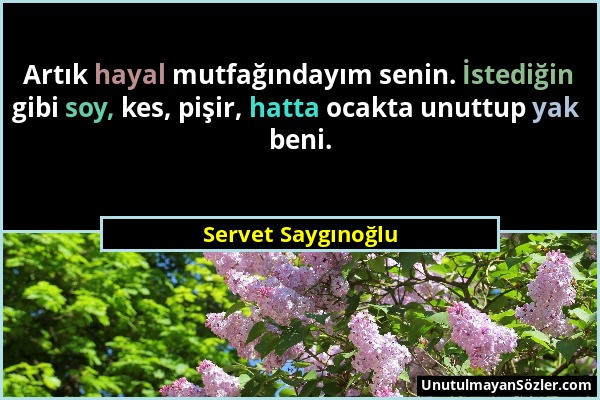 Servet Saygınoğlu - Artık hayal mutfağındayım senin. İstediğin gibi soy, kes, pişir, hatta ocakta unuttup yak beni....