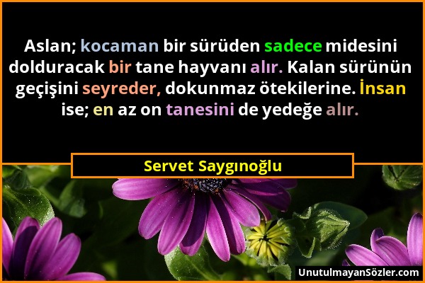 Servet Saygınoğlu - Aslan; kocaman bir sürüden sadece midesini dolduracak bir tane hayvanı alır. Kalan sürünün geçişini seyreder, dokunmaz ötekilerine...