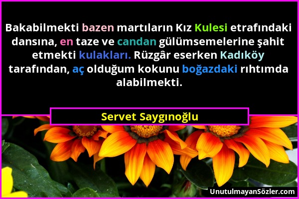 Servet Saygınoğlu - Bakabilmekti bazen martıların Kız Kulesi etrafındaki dansına, en taze ve candan gülümsemelerine şahit etmekti kulakları. Rüzgâr es...