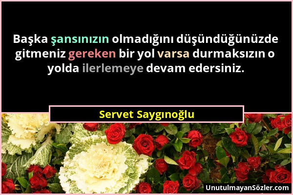 Servet Saygınoğlu - Başka şansınızın olmadığını düşündüğünüzde gitmeniz gereken bir yol varsa durmaksızın o yolda ilerlemeye devam edersiniz....