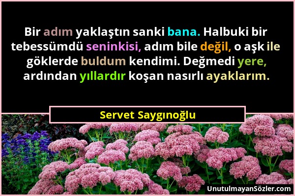 Servet Saygınoğlu - Bir adım yaklaştın sanki bana. Halbuki bir tebessümdü seninkisi, adım bile değil, o aşk ile göklerde buldum kendimi. Değmedi yere,...