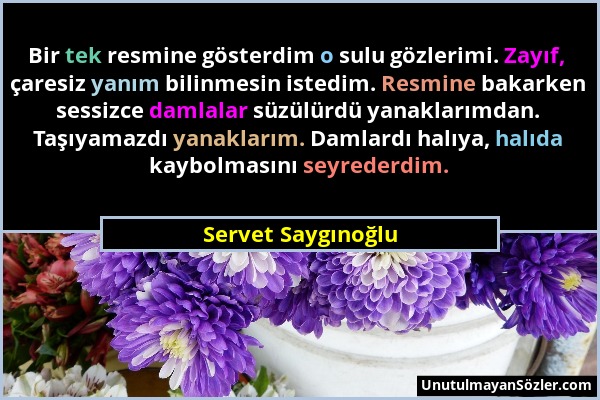 Servet Saygınoğlu - Bir tek resmine gösterdim o sulu gözlerimi. Zayıf, çaresiz yanım bilinmesin istedim. Resmine bakarken sessizce damlalar süzülürdü...