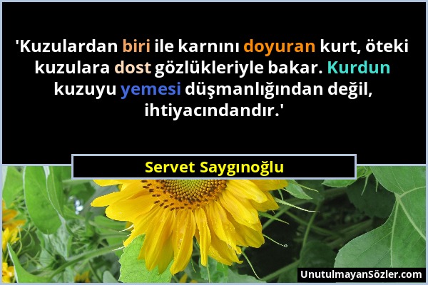 Servet Saygınoğlu - 'Kuzulardan biri ile karnını doyuran kurt, öteki kuzulara dost gözlükleriyle bakar. Kurdun kuzuyu yemesi düşmanlığından değil, iht...