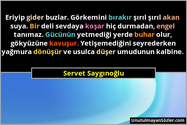 Servet Saygınoğlu - Eriyip gider buzlar. Görkemini bırakır şırıl şırıl akan suya. Bir deli sevdaya koşar hiç durmadan, engel tanımaz. Gücünün yetmediğ...