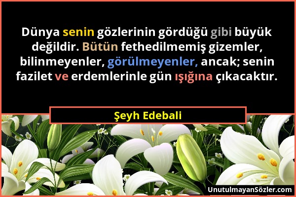 Şeyh Edebali - Dünya senin gözlerinin gördüğü gibi büyük değildir. Bütün fethedilmemiş gizemler, bilinmeyenler, görülmeyenler, ancak; senin fazilet ve...