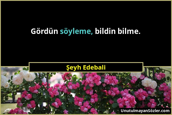 Şeyh Edebali - Gördün söyleme, bildin bilme....