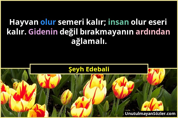 Şeyh Edebali - Hayvan olur semeri kalır; insan olur eseri kalır. Gidenin değil bırakmayanın ardından ağlamalı....