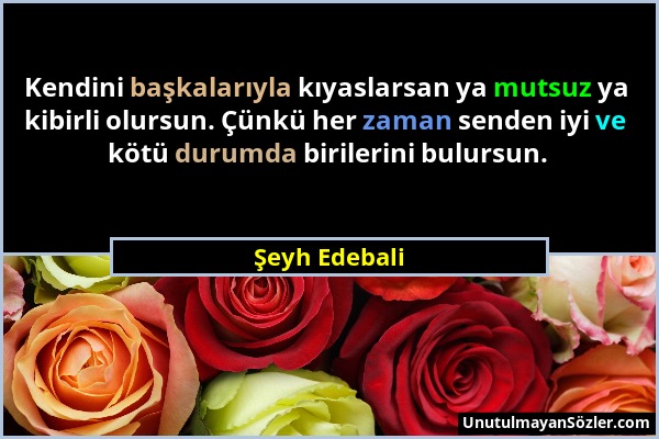 Şeyh Edebali - Kendini başkalarıyla kıyaslarsan ya mutsuz ya kibirli olursun. Çünkü her zaman senden iyi ve kötü durumda birilerini bulursun....