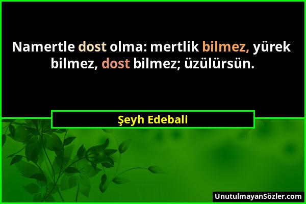 Şeyh Edebali - Namertle dost olma: mertlik bilmez, yürek bilmez, dost bilmez; üzülürsün....