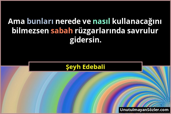 Şeyh Edebali - Ama bunları nerede ve nasıl kullanacağını bilmezsen sabah rüzgarlarında savrulur gidersin....