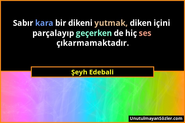 Şeyh Edebali - Sabır kara bir dikeni yutmak, diken içini parçalayıp geçerken de hiç ses çıkarmamaktadır....