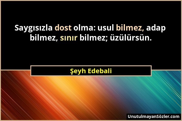 Şeyh Edebali - Saygısızla dost olma: usul bilmez, adap bilmez, sınır bilmez; üzülürsün....