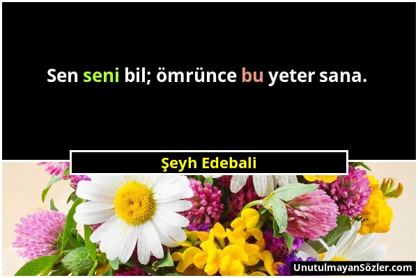 Şeyh Edebali - Sen seni bil; ömrünce bu yeter sana....