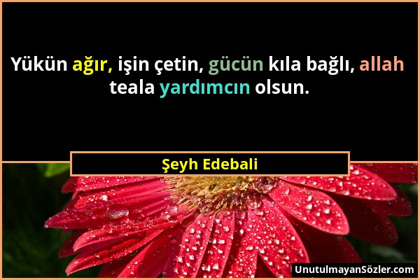 Şeyh Edebali - Yükün ağır, işin çetin, gücün kıla bağlı, allah teala yardımcın olsun....