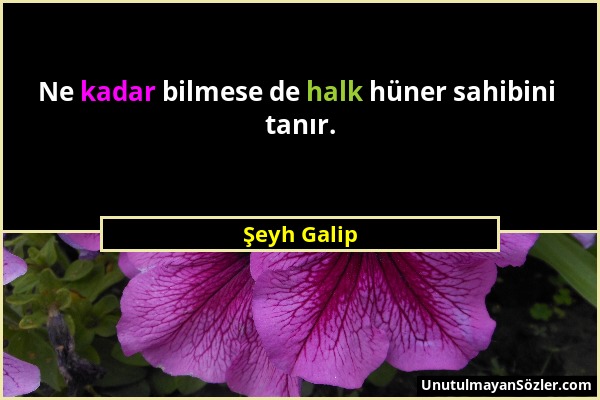 Şeyh Galip - Ne kadar bilmese de halk hüner sahibini tanır....