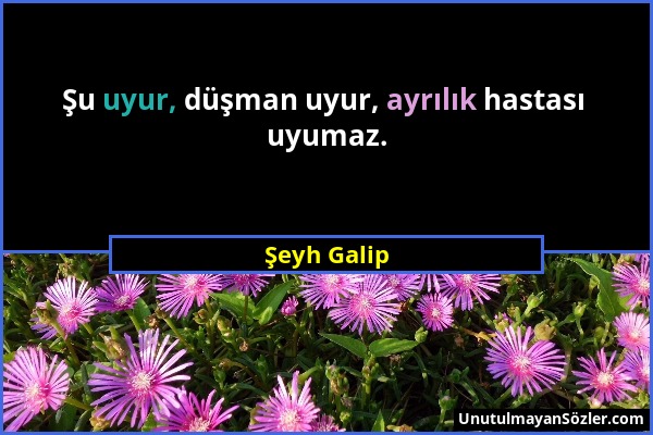 Şeyh Galip - Şu uyur, düşman uyur, ayrılık hastası uyumaz....