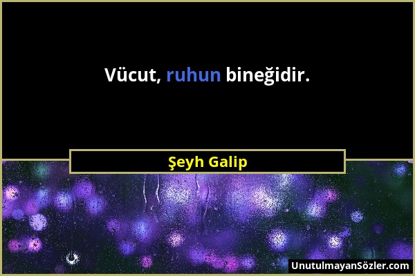 Şeyh Galip - Vücut, ruhun bineğidir....