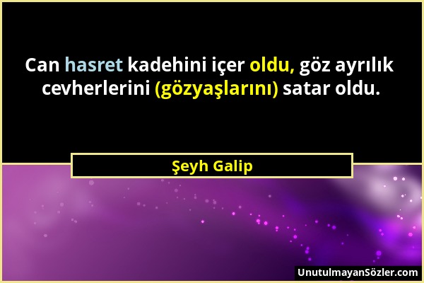 Şeyh Galip - Can hasret kadehini içer oldu, göz ayrılık cevherlerini (gözyaşlarını) satar oldu....