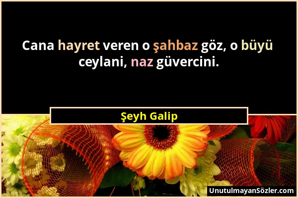 Şeyh Galip - Cana hayret veren o şahbaz göz, o büyü ceylani, naz güvercini....