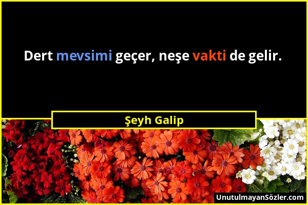 Şeyh Galip - Dert mevsimi geçer, neşe vakti de gelir....