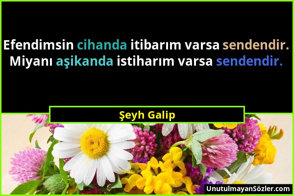 Şeyh Galip - Efendimsin cihanda itibarım varsa sendendir. Miyanı aşikanda istiharım varsa sendendir....