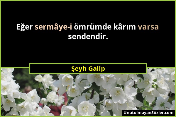 Şeyh Galip - Eğer sermâye-i ömrümde kârım varsa sendendir....