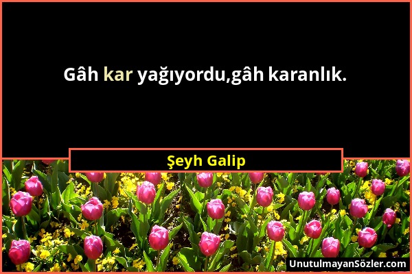 Şeyh Galip - Gâh kar yağıyordu,gâh karanlık....