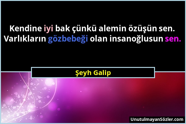 Şeyh Galip - Kendine iyi bak çünkü alemin özüşün sen. Varlıkların gözbebeği olan insanoğlusun sen....