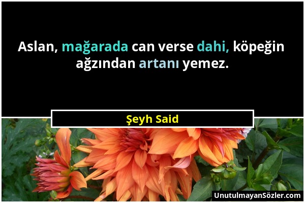 Şeyh Said - Aslan, mağarada can verse dahi, köpeğin ağzından artanı yemez....