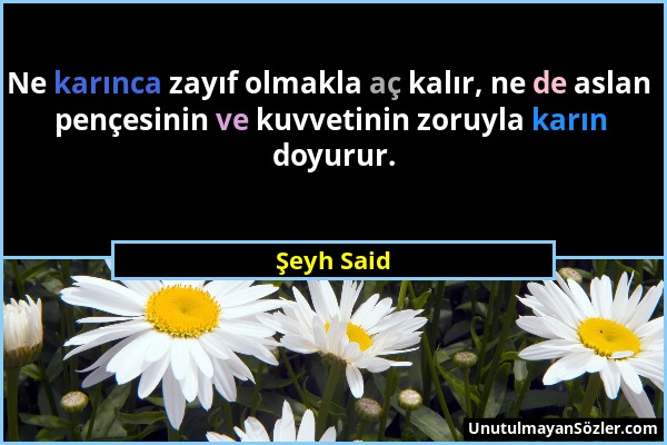 Şeyh Said - Ne karınca zayıf olmakla aç kalır, ne de aslan pençesinin ve kuvvetinin zoruyla karın doyurur....