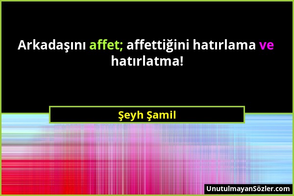 Şeyh Şamil - Arkadaşını affet; affettiğini hatırlama ve hatırlatma!...