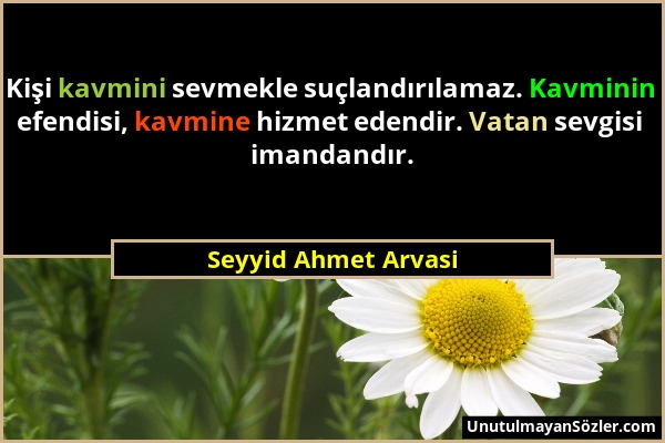 Seyyid Ahmet Arvasi - Kişi kavmini sevmekle suçlandırılamaz. Kavminin efendisi, kavmine hizmet edendir. Vatan sevgisi imandandır....