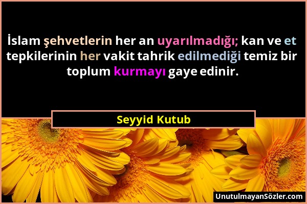 Seyyid Kutub - İslam şehvetlerin her an uyarılmadığı; kan ve et tepkilerinin her vakit tahrik edilmediği temiz bir toplum kurmayı gaye edinir....