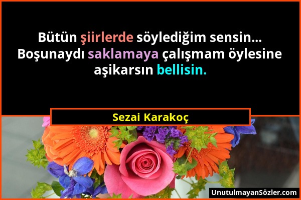 Sezai Karakoç - Bütün şiirlerde söylediğim sensin... Boşunaydı saklamaya çalışmam öylesine aşikarsın bellisin....