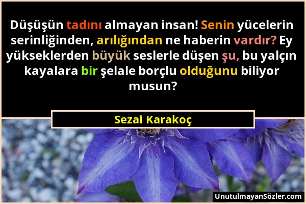 Sezai Karakoç - Düşüşün tadını almayan insan! Senin yücelerin serinliğinden, arılığından ne haberin vardır? Ey yükseklerden büyük seslerle düşen şu, b...