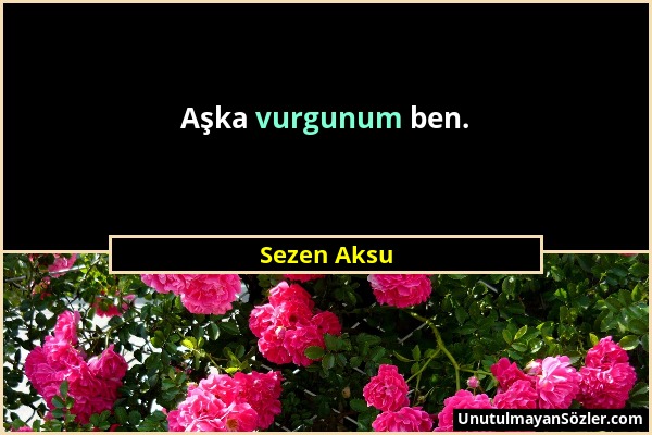 Sezen Aksu - Aşka vurgunum ben....