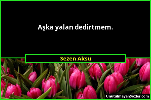 Sezen Aksu - Aşka yalan dedirtmem....