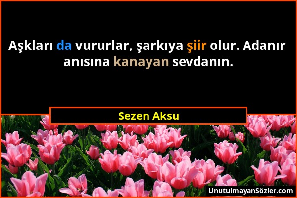 Sezen Aksu - Aşkları da vururlar, şarkıya şiir olur. Adanır anısına kanayan sevdanın....