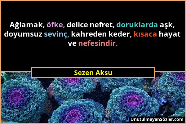 Sezen Aksu - Ağlamak, öfke, delice nefret, doruklarda aşk, doyumsuz sevinç, kahreden keder, kısaca hayat ve nefesindir....