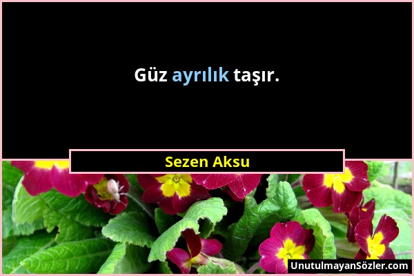 Sezen Aksu - Güz ayrılık taşır....